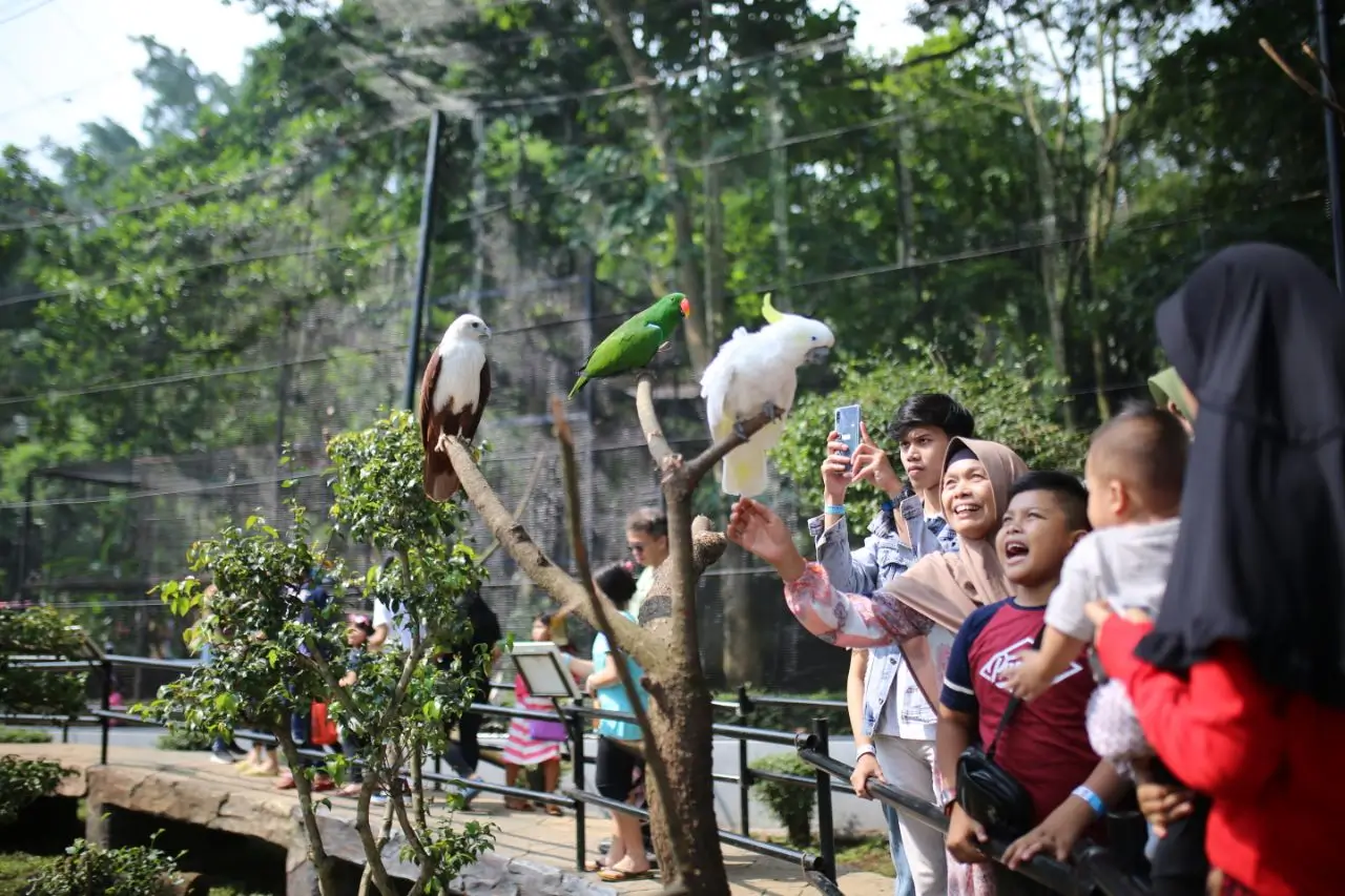 Aktivitas keluarga di kebun binatang Bandung
